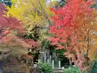 鷲林寺(兵庫県)