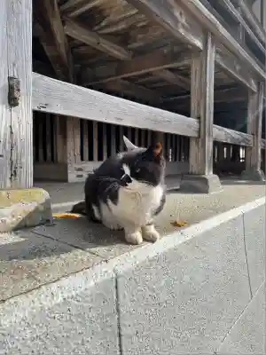 奥氷川神社(東京都)