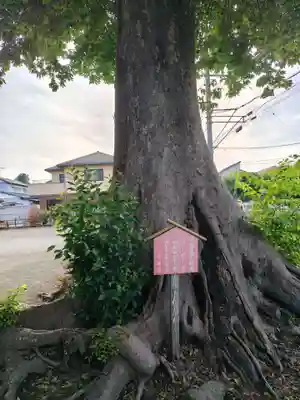 真田神社(神奈川県)
