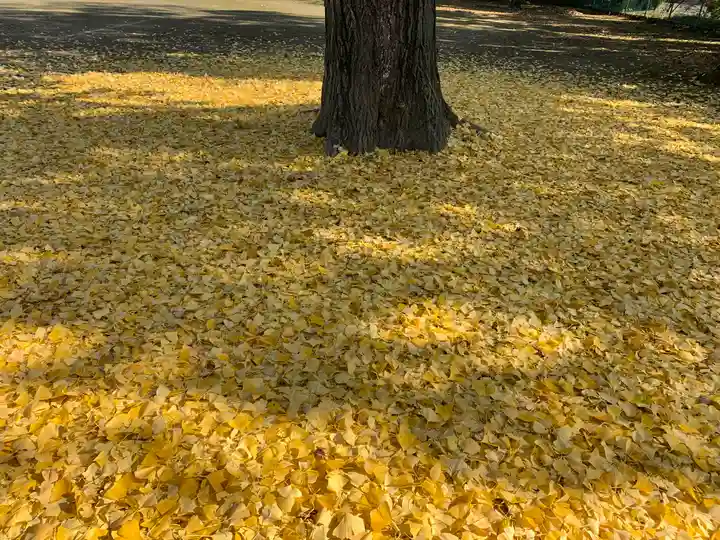 観音寺(中舘観音寺)の自然
