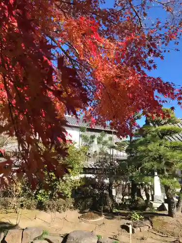 長谷寺の庭園