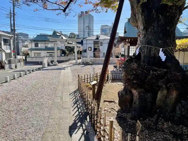 白山神社の鳥居