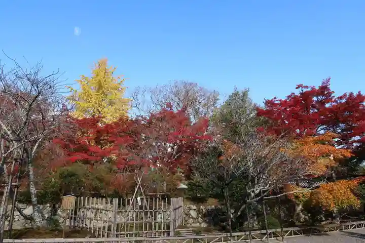 二尊院(京都府)