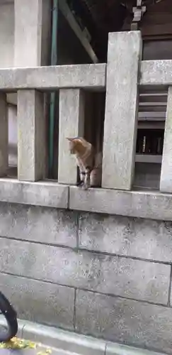 小野照崎神社の動物