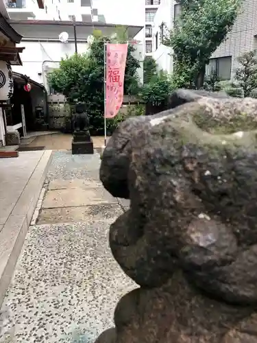 高輪神社の狛犬