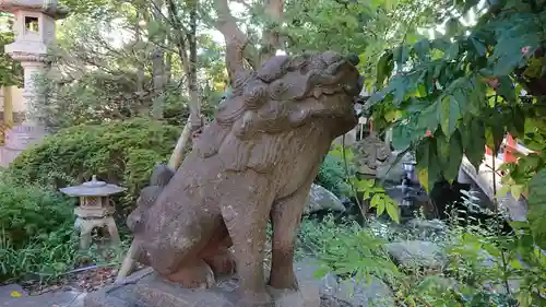 千葉神社の狛犬