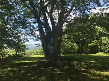 八幡神社(山形県)