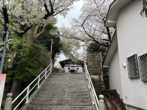 中村八幡宮の{uncategorized: "未分類", other: "その他", undefined: "問題あり", building: "その他建物", grave: "お墓", sacred_gate: "鳥居", guardian: "狛犬", statue: "像", buddha: "仏像", history: "歴史", nature: "自然", garden: "庭園", animal: "動物", pagoda: "塔", temizu: "手水舎", mountain_gate: "山門・神門", sanctuary: "本殿・本堂", subordinate: "末社・摂社", art: "芸術", scenery: "景色", jizo: "地蔵", ema: "絵馬", goshuin: "御朱印", omikuji: "おみくじ", items: "授与品その他", amulet: "お守り", goshuincho: "御朱印帳", eats: "食事", festival: "お祭り", votive_dance: "神楽", shichigosan: "七五三参", wedding: "結婚式", experience: "体験その他", initially: "初詣", around: "周辺", anti_infection: "感染症対策"}