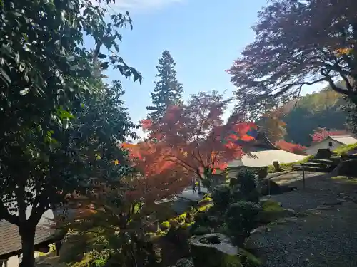 長安寺(京都府)