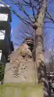 田無神社の狛犬