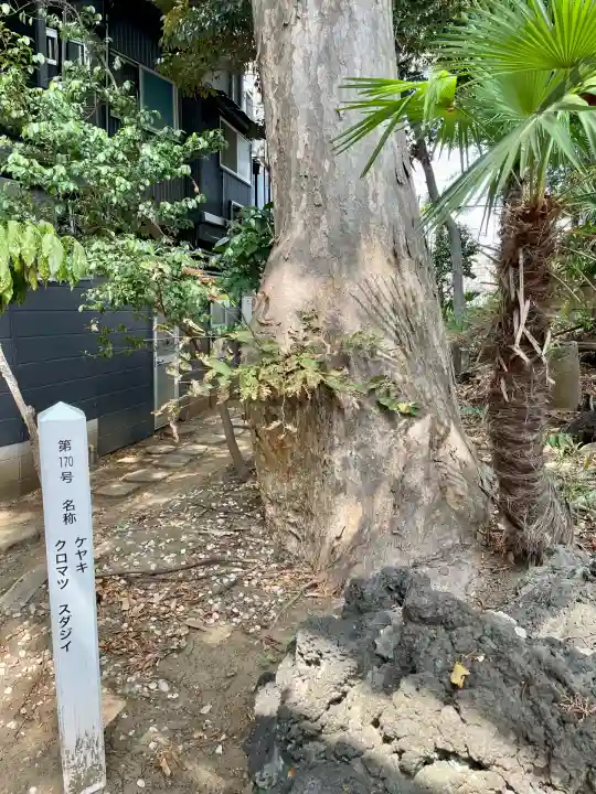 岩山稲荷神社(千葉県)
