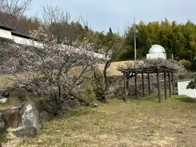 興善寺の{uncategorized: "未分類", other: "その他", undefined: "問題あり", building: "その他建物", grave: "お墓", sacred_gate: "鳥居", guardian: "狛犬", statue: "像", buddha: "仏像", history: "歴史", nature: "自然", garden: "庭園", animal: "動物", pagoda: "塔", temizu: "手水舎", mountain_gate: "山門・神門", sanctuary: "本殿・本堂", subordinate: "末社・摂社", art: "芸術", scenery: "景色", jizo: "地蔵", ema: "絵馬", goshuin: "御朱印", omikuji: "おみくじ", items: "授与品その他", amulet: "お守り", goshuincho: "御朱印帳", eats: "食事", festival: "お祭り", votive_dance: "神楽", shichigosan: "七五三参", wedding: "結婚式", experience: "体験その他", initially: "初詣", around: "周辺", anti_infection: "感染症対策"}