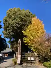 松陰神社(東京都)