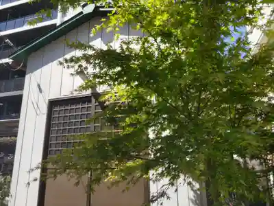 幸町辨財天の自然