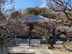 地福寺の自然