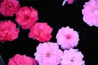 大鏑神社の手水舎