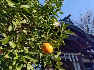 大國魂神社(東京都)