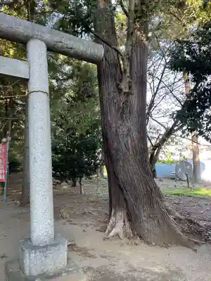 久伊豆社（小久喜久伊豆神社）(埼玉県)
