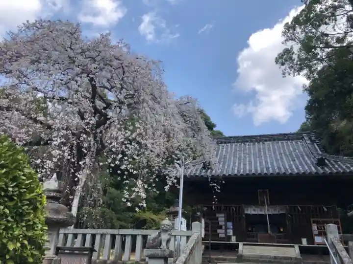 土呂八幡宮の本殿・本堂