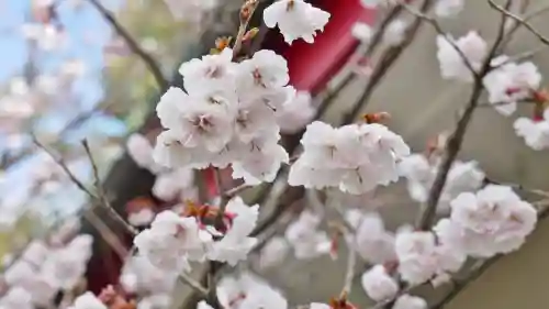 車折神社の自然