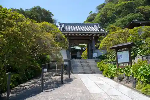 安養院　(田代寺）の山門