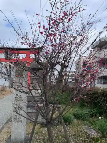 五社神社(京都府)