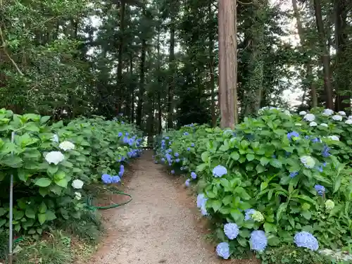 磯山神社の庭園