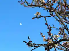 湯島天満宮(長野分社)の自然