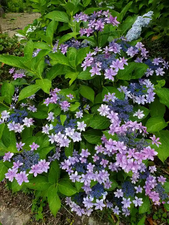 豊景神社の庭園