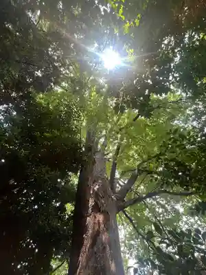 鎮守氷川神社(埼玉県)