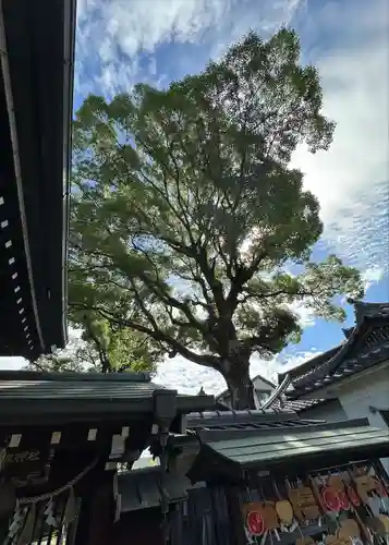 彌刀神社(大阪府)