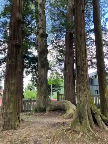 諏訪大社(長野県)