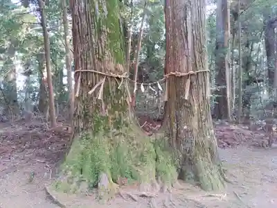三島神社(千葉県)