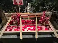 東京大神宮の手水舎