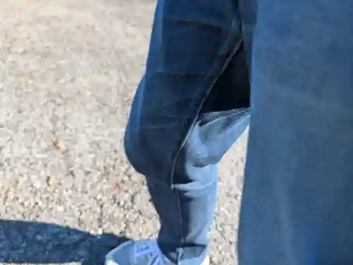 芳林寺(埼玉県)