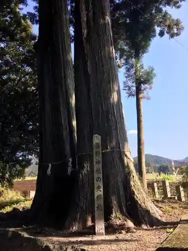 長野阿蘇神社の建物その他