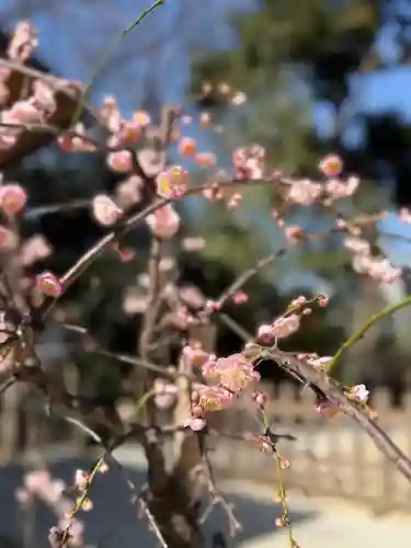 戸越八幡神社(東京都)