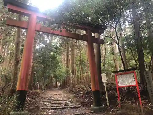 御蔭神社の鳥居