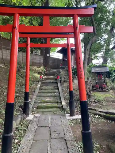 澤蔵司稲荷（慈眼院）の鳥居