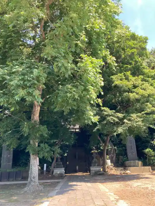赤城神社(千葉県)
