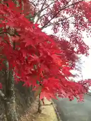 鳳来寺(愛知県)