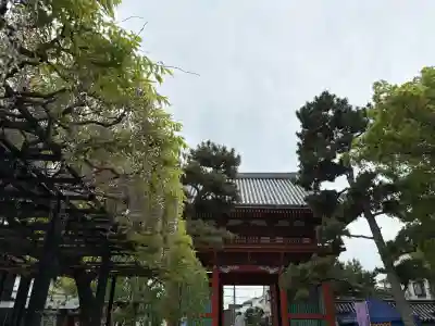 葛井寺の{uncategorized: "未分類", other: "その他", undefined: "問題あり", building: "その他建物", grave: "お墓", sacred_gate: "鳥居", guardian: "狛犬", statue: "像", buddha: "仏像", history: "歴史", nature: "自然", garden: "庭園", animal: "動物", pagoda: "塔", temizu: "手水舎", mountain_gate: "山門・神門", sanctuary: "本殿・本堂", subordinate: "末社・摂社", art: "芸術", scenery: "景色", jizo: "地蔵", ema: "絵馬", goshuin: "御朱印", omikuji: "おみくじ", items: "授与品その他", amulet: "お守り", goshuincho: "御朱印帳", eats: "食事", festival: "お祭り", votive_dance: "神楽", shichigosan: "七五三参", wedding: "結婚式", experience: "体験その他", initially: "初詣", around: "周辺", anti_infection: "感染症対策"}