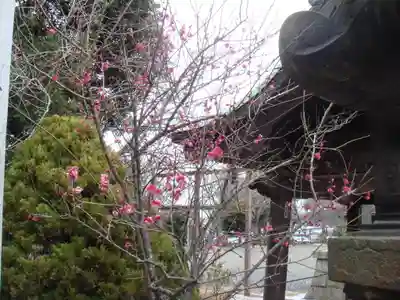 常陸第三宮 吉田神社(茨城県)