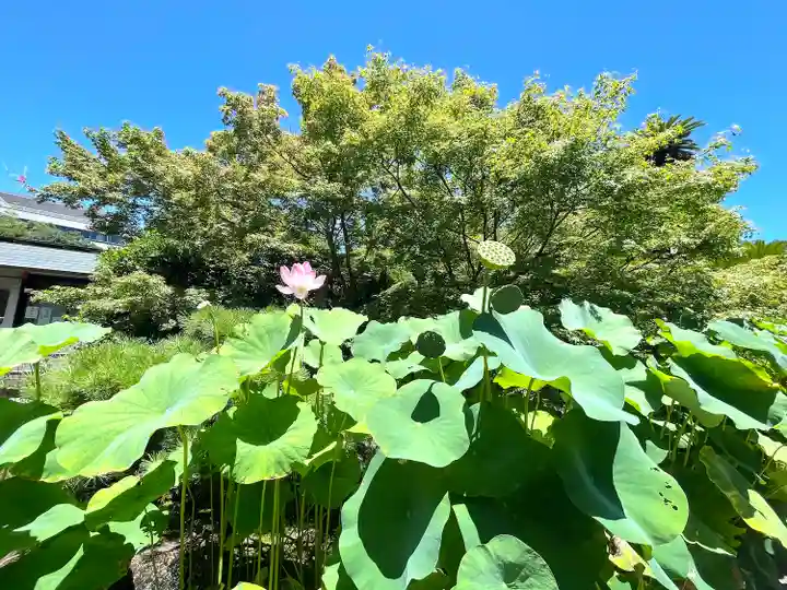 伊勢の国 四天王寺(三重県)