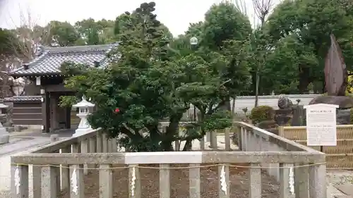 太閤山常泉寺の自然