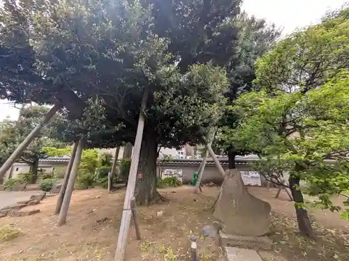 正光寺(東京都)