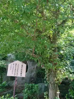 大宝八幡宮のその他建物