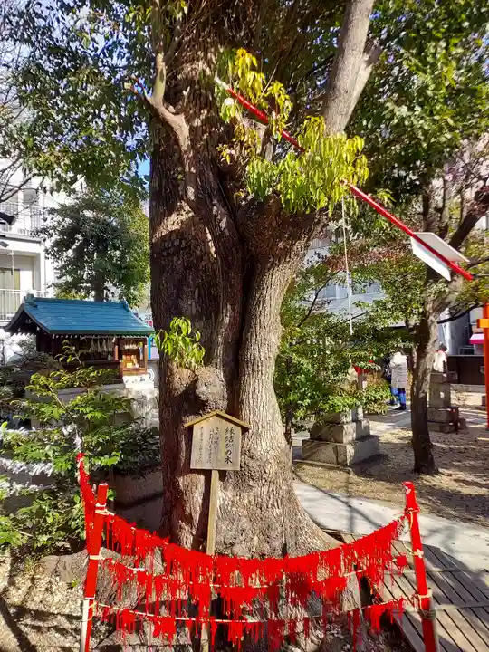 三輪神社(愛知県)