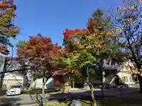 鷹栖神社の自然