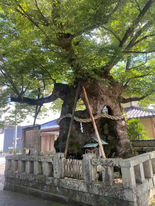 中山神社(岡山県)